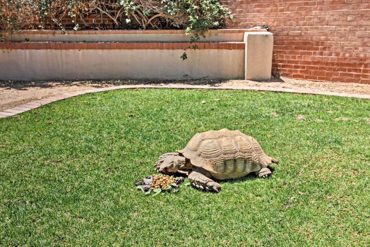 Villa Pet-Friendly Tucson Casita Shared Hot Tub And Porch Exterior foto